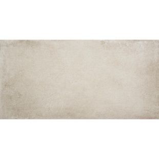 LECCO GRIS 120x60 249700 фото