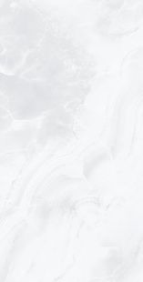 AL-1088 Polished 60*120 055792 фото