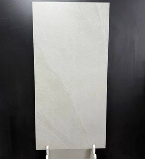 Leon Silver F P 600х1200х8 R Маt 091023 фото