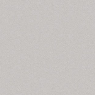 GRES MONOLIGHT EXTERIOR GREY RECT 8&times;597&times;597 587517 фото