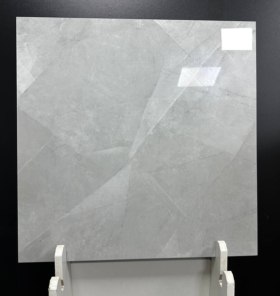 LIGHT GREY STONE 600х600 0000007799 фото