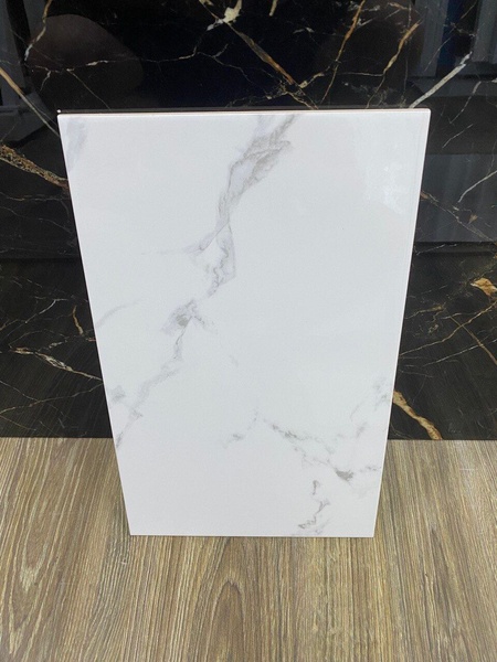 ARCTIC STONE WHITE GLOSSY 25*40 0000008869 фото