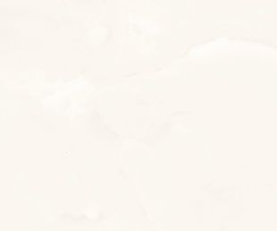 Onyx Snow Polished 60*60 059068 фото