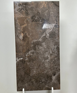 SE1212 Romandi Brown 120x60 251640 фото