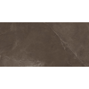 GRES SOFTSTONE BROWN RECT 8&times;1197&times;597 587478 фото