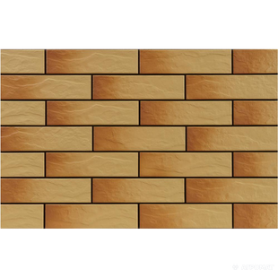 ELEWACJA RUSTICO GOBI 245*65 193994 фото