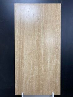 NF61219 TRAVERTINE BROWN 120х60 577854 фото