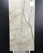 WILD FOREST TAN MATT CARVING 600x1200 0000007872 фото 1