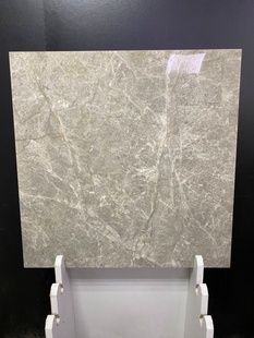 S-LIGHTBROWN 60x60 266231 фото