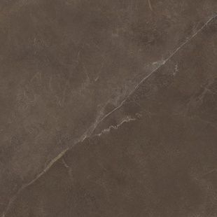 GRES SOFTSTONE BROWN RECT 8&times;597&times;597 593749 фото