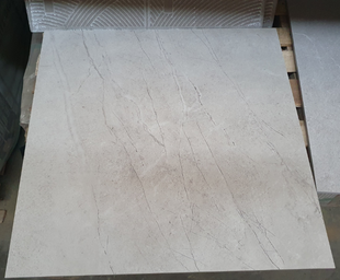 ELAPSE BEIGE MATT 600x600 0000007818 фото