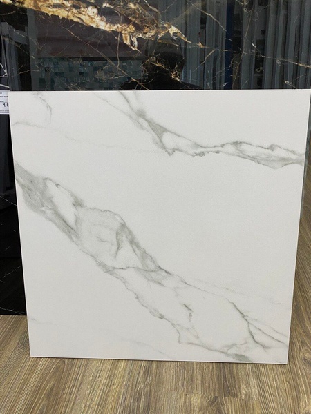 Carrara White F P 600x600x8 RN Mat 230720 фото