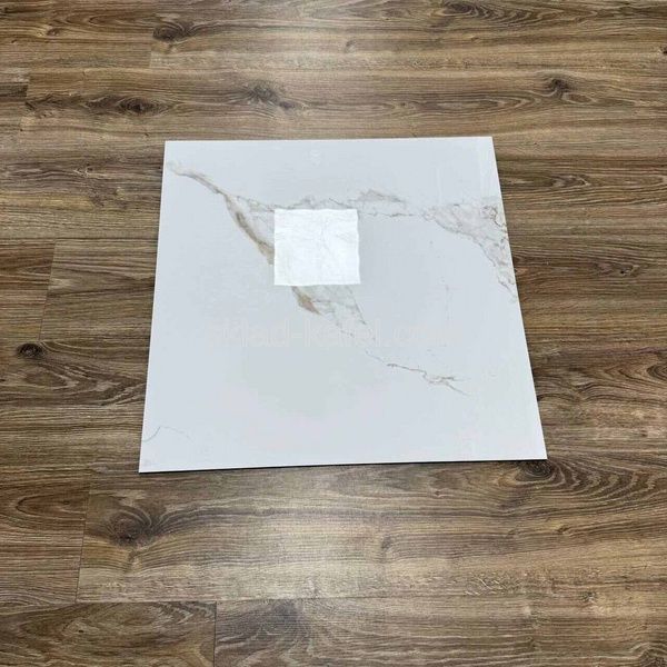 Avenzo Gold 600*600 950322 фото