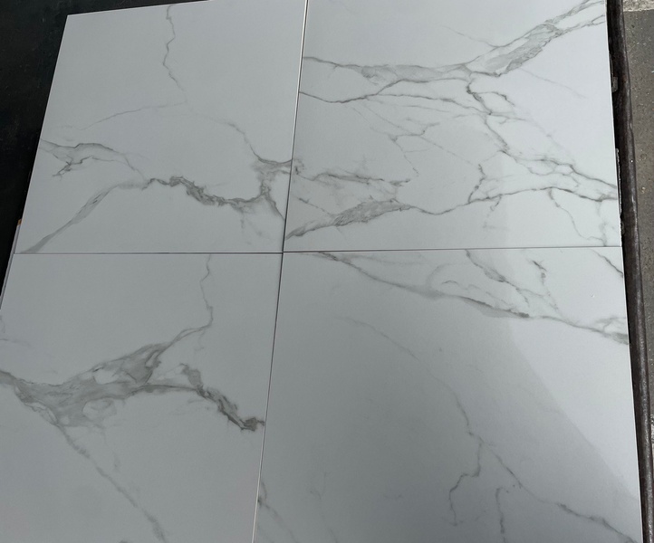 Carrara White F P 600x600x8 RN Mat 230720 фото