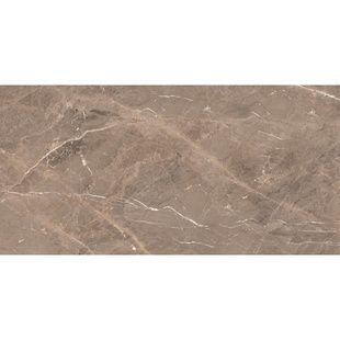 ALBI BROWN 120х60 259091 фото