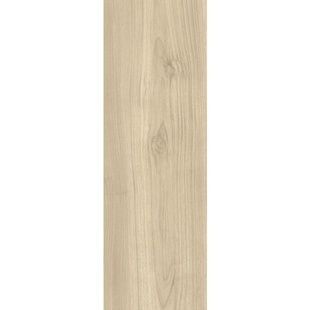 LIGHTMOOD VANILLA GRES SZKL. 20X60 G1 240428 фото