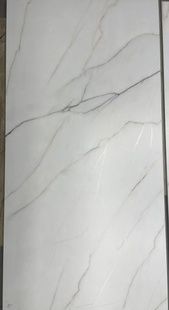 Sonata Pearl F P 600x600x8 R Satin 657248 фото