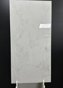 Fogy white полір. 120x60 147587 фото